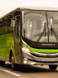 Ônibus Rodoviário - Mascarello / Volkswagen - ELLO / 17-230 - Portal Governo