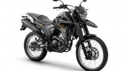 Motocicleta - Yamaha - Lander 250 CC - Portal Governo