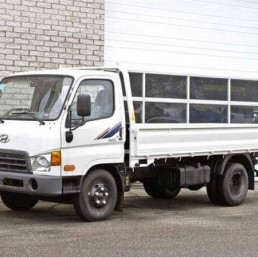 Caminhão Basculante - Hyundai - HD 80 com Caçamba - Portal Governo