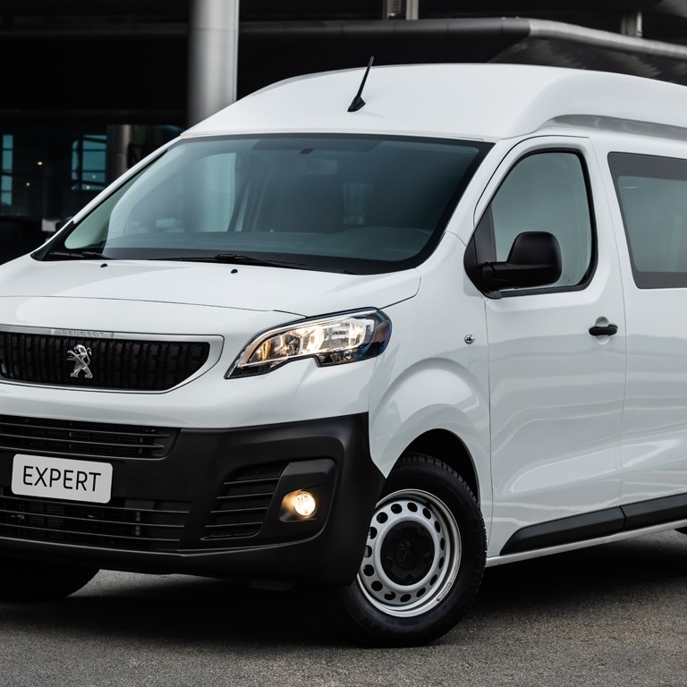 Van - Peugeot - Expert - Portal Governo