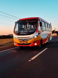 Ônibus - Mascarello / Iveco - Gran Micro S3 / 10-190 - Portal Governo
