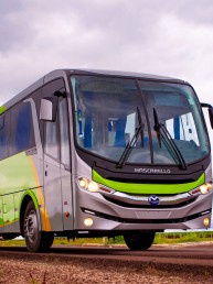 Ônibus - Mascarello Iveco - Ello 17-280 - Portal Governo