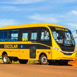 Ônibus - Mascarello / Iveco - Gran Micro S/ 10-190 - Portal Governo