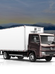 Caminhão Baú Frigorífico - Volkswagen - Delivery 9.180 - Portal Governo