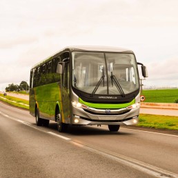 Ônibus - Mascarello - Ello - Portal Governo