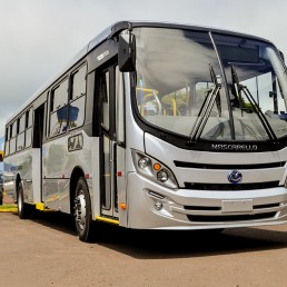 Ônibus - Mascarello Agrale - GRAN MIDI MA 17 - Portal Governo