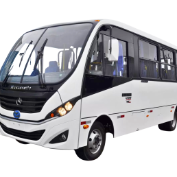 Micro-ônibus Rodoviário - Mercedes-Benz - LO-916 - Portal Governo