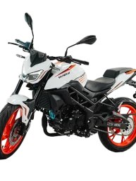 Motocicleta - Shineray - Free 150 - Portal Governo