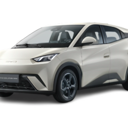 Veículo de Passeio - BYD - Dolhpin Mini - Portal Governo
